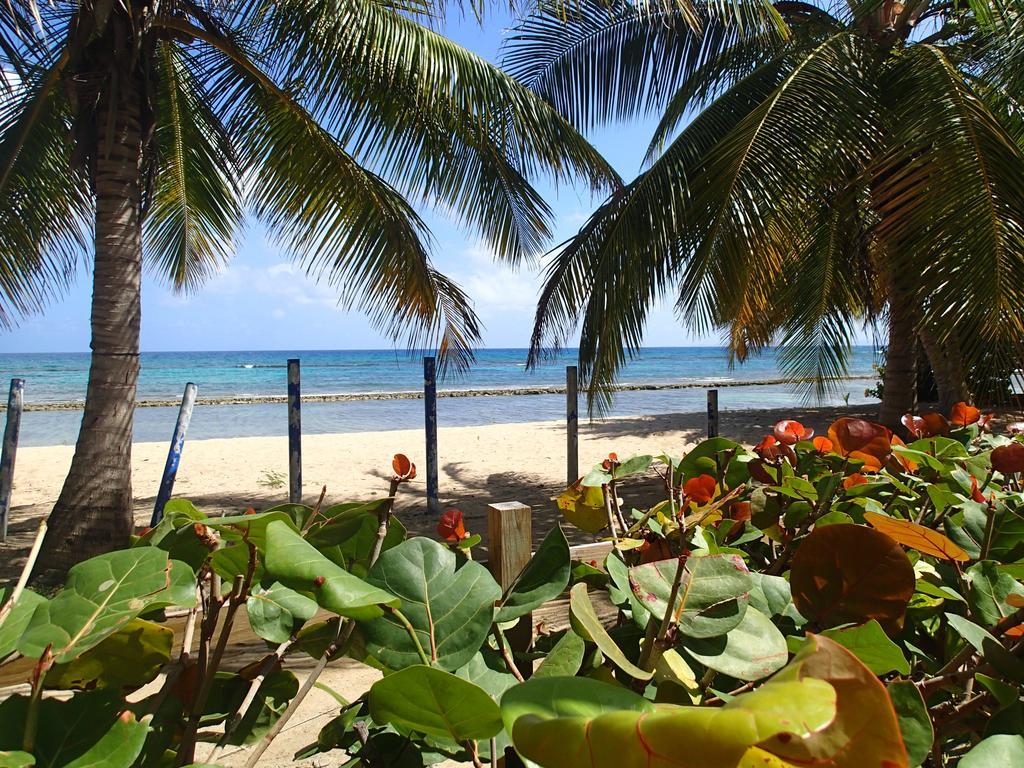 Ababor Suites Guesthouse Vieques Extérieur photo